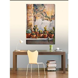 Kanvas Tablo Kaktüs Çeşitleri Ve Eski Duvar 100x140 cm