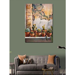Kanvas Tablo Kaktüs Çeşitleri Ve Eski Duvar 50x70 cm