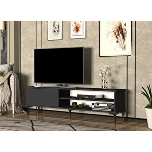 Lion Tv Üni̇tesi̇ Antrasi̇t