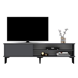 Lion Tv Üni̇tesi̇ Antrasi̇t