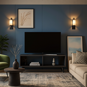 Fiona Tv Üni̇tesi̇ Antrasi̇t