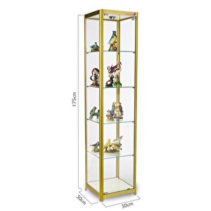 Camlı Vitrin - Camlı Dolap - Camlı Koleksiyon Vitrini - Cam Raf - Kurulu Ürün 175x30x30
