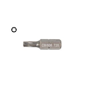 T20 X 25 Mm Torx Bits Uç Cb/808