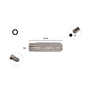 T40 X 25 Mm Torx Bits Uç Cb/812