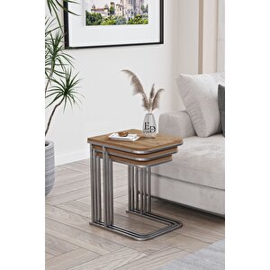 Lyon 3'lü C Zigon Sehpa Gümüş Metal - Atlantik Çam Tabla Gümüş-Atlantik Çam