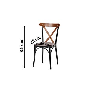 Tonet Serisi 4 Adet Metal Gövde Sandalye Ve 80x120 Sabit Masa Cafe,bahçe,balkon,mutfak Masa Takımı