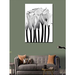 Kanvas Tablo Beyaz Çiçekler 70x100 cm