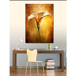 Kanvas Tablo Beyaz Çiçek 70x100 cm