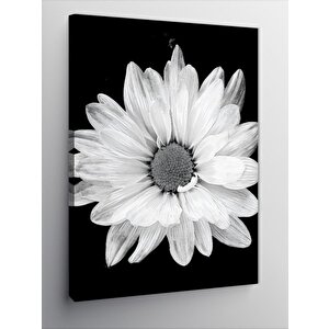 Kanvas Tablo Beyaz Çiçek 70x100 cm