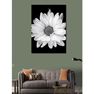 Kanvas Tablo Beyaz Çiçek 70x100 cm