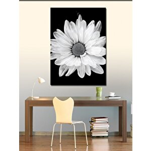 Kanvas Tablo Beyaz Çiçek 70x100 cm