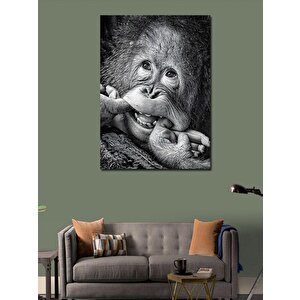 Kanvas Tablo Gülümseyen Orangutan 70x100 cm
