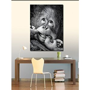 Kanvas Tablo Gülümseyen Orangutan 70x100 cm
