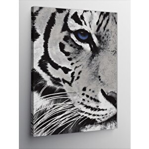 Kanvas Tablo Kaplan 100x140 cm
