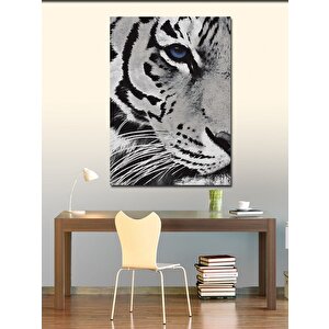 Kanvas Tablo Kaplan 70x100 cm