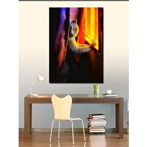 Kanvas Tablo Pencereye Bakan Kedi 100x140 cm