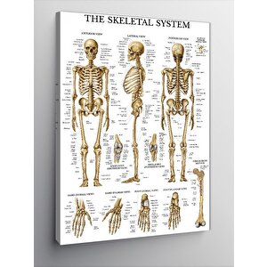 Kanvas Tablo İskelet Sistemi