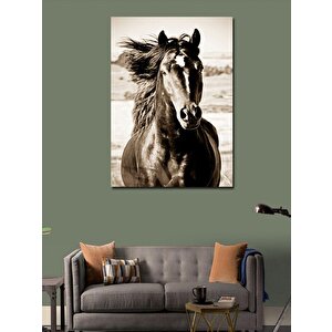 Kanvas Tablo Asil At 70x100 cm