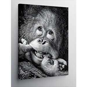 Kanvas Tablo Sevimli Orangutan