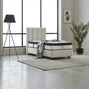 Lusso Tek Kişilik Baza Başlık Seti Krem 100x200 cm