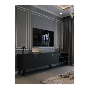 Festival Tv Ünitesi G6501-4 Antrasit Gold Detaylı Minifiks Bağlantı Tv Sehpası