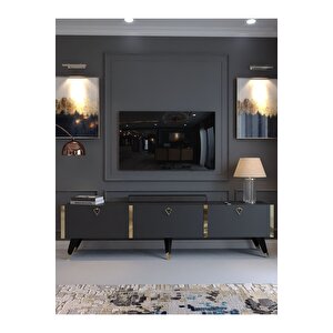 Festival Tv Sehpası G3817-4 Antrasit Gold