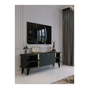 Festival Tv Sehpası G6306-4 Antrasit Gold Detaylı Minifiks Bağlantı Tv Ünitesi
