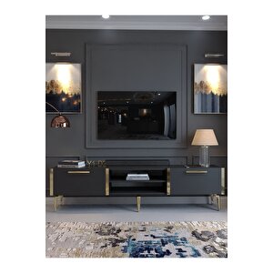 Festival Tv Sehpası G3830-4-y1-d2 Antrasit Gold Metal Kulp