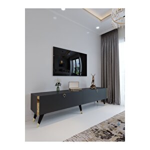 Festival Tv Ünitesi G3011-4 Antrasit Gold Detaylı Minifiks Bağlantı Tv Sehpası