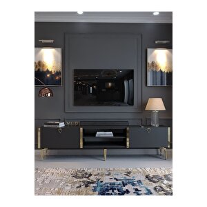 Festival Tv Sehpası G3830-4-y1-p1 Antrasit Gold Metal Kulp