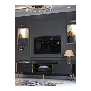 Festival Tv Sehpası G3830-4-y1-p1 Antrasit Gold Metal Kulp