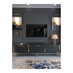 Festival Tv Sehpası G3817-4-y1-d2 Antrasit Gold Metal Kulp