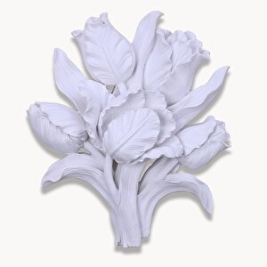Tulipa Dekoratif Çiçek Beyaz