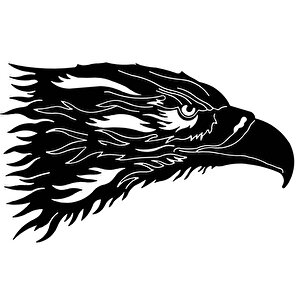 , Kartal Kafası Metal Duvar Tablo