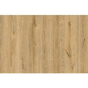 Bella Neo Laminat Parke 8mm Akasya + 6cm Süpürgelik + 3mm Kapron Takım