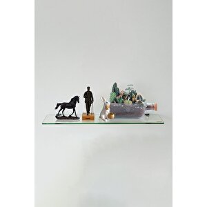 Cam Etejer Rafı - Cam Raf - Banyo Rafı - Duvar Rafı - Mutfak Rafı 12x50cm Temperli Şeffaf Cam