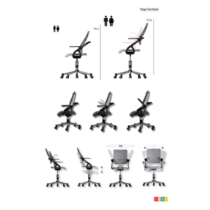 Creo Mobili Yükseklik ve Sırt Ayarlı Vega Çalışma Sandalyesi, Ofis ve Bilgisayar Koltuğu, Antrasit/Beyaz