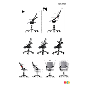 Creo Mobili Yükseklik ve Sırt Ayarlı Vega Plus Çalışma Sandalyesi, Ofis ve Bilgisayar Koltuğu, Beyaz/Mavi
