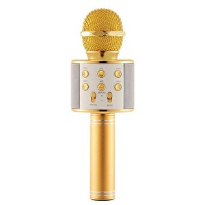 Torima Ws-858 Karaoke Mikrofon Aux Usb Ve Sd Kart Girişli Bluetooth Hoparlör Gold