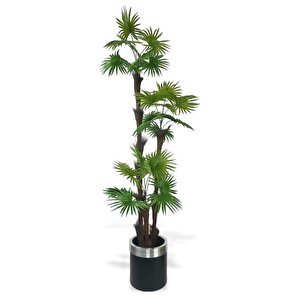 Yapay Ağaç Palmiye Fanpalm 3katlı 24yaprak Gümüş Kemerli Siyah Saksıda 165*65cm