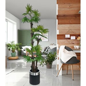 Yapay Ağaç Palmiye Fanpalm 3katlı 24yaprak Gümüş Kemerli Siyah Saksıda 165*65cm