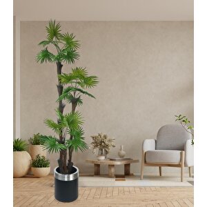 Yapay Ağaç Palmiye Fanpalm 3katlı 24yaprak Gümüş Kemerli Siyah Saksıda 165*65cm