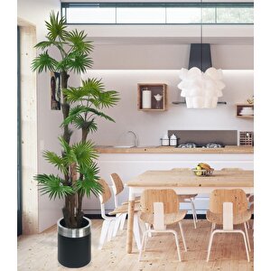 Yapay Ağaç Palmiye Fanpalm 3katlı 24yaprak Gümüş Kemerli Siyah Saksıda 165*65cm