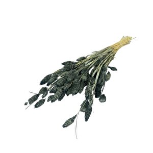 Kuru Çiçek Doğal Kuş Otu Gri̇ Renk 40-50gram 1. Kalite Şoklanmış Bozulmaz