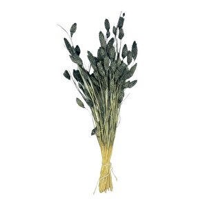 Kuru Çiçek Doğal Kuş Otu Gri̇ Renk 40-50gram 1. Kalite Şoklanmış Bozulmaz