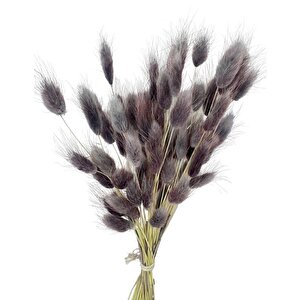 Kuru Çiçek Doğal Gri̇ Li̇la Pamuk Otu 10gram 1. Kalite Şoklanmış Bozulmaz