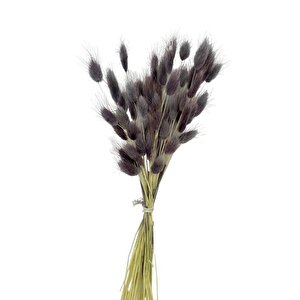 Kuru Çiçek Doğal Gri̇ Li̇la Pamuk Otu 10gram 1. Kalite Şoklanmış Bozulmaz