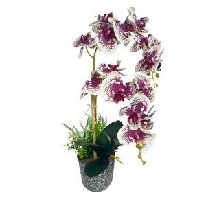 Yapay Çiçek 2li Benekli Fuşya Islak Orkide Seramik Saksıda Orkide 60cm