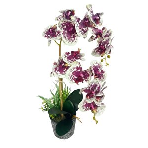 Yapay Çiçek 2li Benekli Fuşya Islak Orkide Seramik Saksıda Orkide 60cm