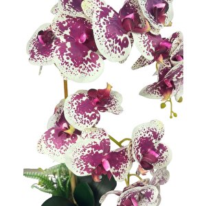 Yapay Çiçek 2li Benekli Fuşya Islak Orkide Seramik Saksıda Orkide 60cm